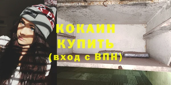 трава Белокуриха