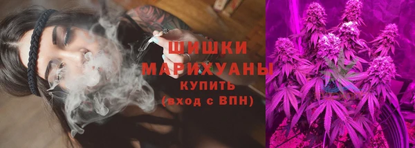 трава Белокуриха