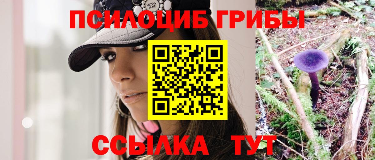 Галлюциногенные грибы Psilocybe Маркс