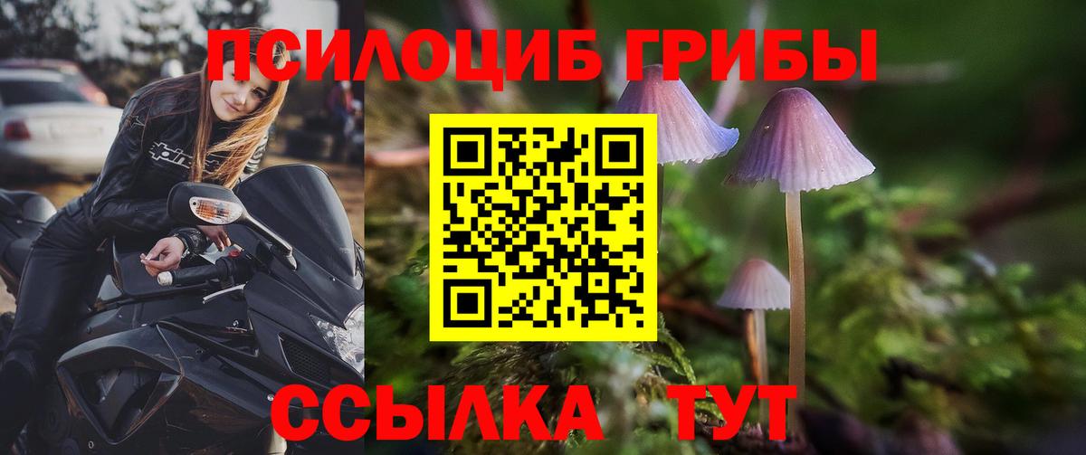 Маркс  Галлюциногенные грибы Psilocybine cubensis  Псилоцибиновые грибы MAGIC MUSHROOMS  Вход с VPN 